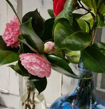 A Xesteira